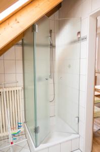 a shower with glass doors in a bathroom at Haus Schwörer in Hagnau