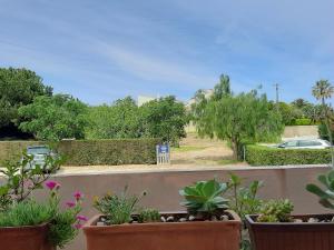 a row of potted plants on a balcony at Aurora Sol in Luz
