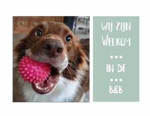 un perro sosteniendo un juguete rosa en su boca en Het Gelders Buitenleven, en Overasselt