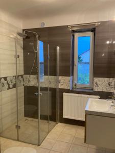 姆什喬努夫的住宿－Noclegi VIVA，带淋浴和盥洗盆的浴室
