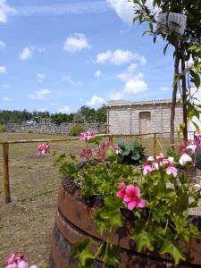 Imagen de la galería de Masseria Petrore Grande di Polimeno Alessandra, en Cutrofiano