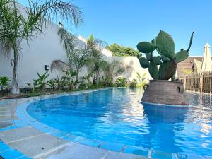 einen Kaktus in einem Topf neben einem Pool in der Unterkunft MyKosVilla with private pool in Kos-Stadt