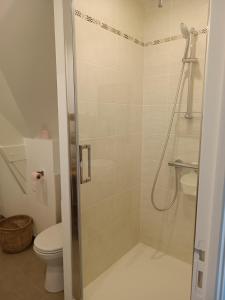 La salle de bains est pourvue d'une douche et de toilettes. dans l'établissement Appartement Détente au Cœur du Cotentin, à Valognes