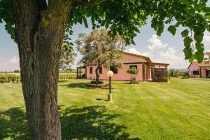 a house in the middle of a yard with a tree at Agriturismo il Laghetto in Grosseto