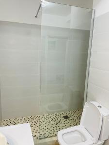 ein Bad mit einem WC und einer Dusche in der Unterkunft DXN Luxury Studio 3 in Năvodari