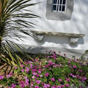 Zahrada ubytování Maison d'hôtes VILLA XARAN ERDIAN