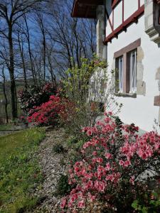 a garden with pink flowers next to a building at VILLA XARAN ERDIAN in Espelette