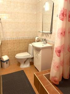 a bathroom with a toilet and a sink and a mirror at Riverside Motel Jelgava in Jelgava