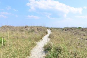 a dirt path through a field of tall grass at Sweet Caroline Remodeled with Partial Ocean View and Oceanfront Pool in Myrtle Beach