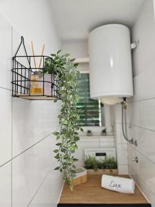 a plant on a table in a room with a lamp at Apartment Lux Zadar in Zadar