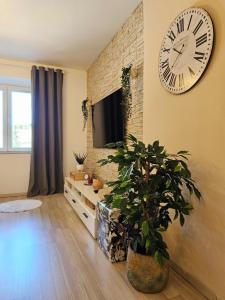 un salon avec une horloge sur le mur et une plante dans l'établissement Apartment Lux Zadar, à Zadar