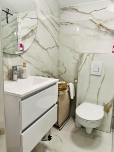 ein Badezimmer mit einem weißen Waschbecken und einem WC in der Unterkunft City Apartment Chiara in Maribor