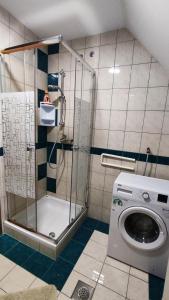 波希基斯卡贝拉Fantastic Apartment Brglez的带淋浴和洗衣机的浴室 更多21张照片