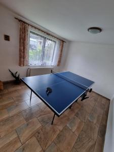 a ping pong table in the middle of a room at Ubytování - Černá hora II in Svoboda nad Úpou