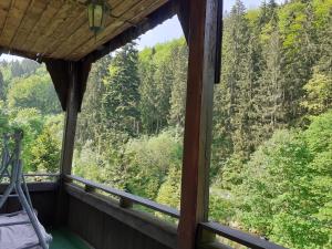 a view from a porch with a view of a forest at Apartamenty Kaskada in Miedzygorze