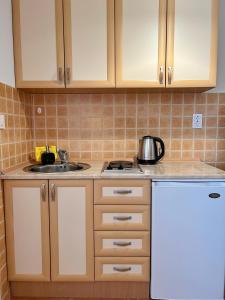 Kuchyň nebo kuchyňský kout v ubytování LAV Apartments