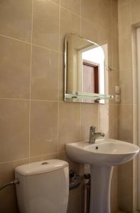 un bagno con un water, un lavandino e uno specchio di Guesthouse Lenjeri a Mestia