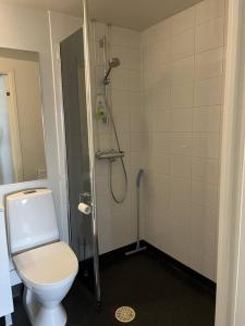 bagno con doccia e servizi igienici di Apartment Runeberg a Kokkola