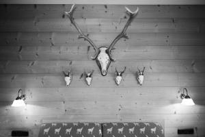 ein Antilopenkopf hängt an einer Wand mit vier Geweihen in der Unterkunft Haus Sonnwies in Reit im Winkl