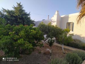 Gallery image of Chaido Studios in Plaka Milou