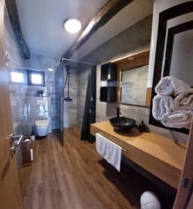 een badkamer met een wastafel en een toilet bij Rooms Villa Ruja in Grabovac
