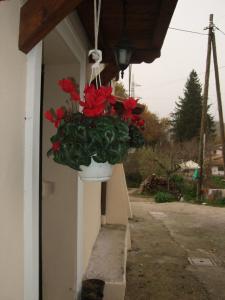 um vaso de flores vermelhas pendurado do lado de uma casa em Il casale di Pino e Rita em Subiaco