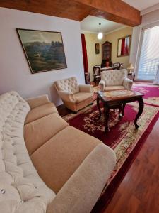 Topola的住宿－Apartmani M br5，客厅配有沙发和桌子