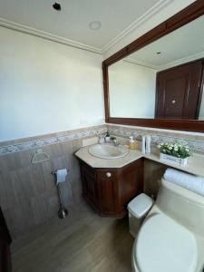 een badkamer met een wastafel, een toilet en een spiegel bij paradisíaco y hermoso apartamento in Santo Domingo
