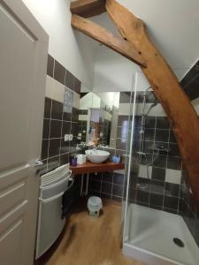 uma casa de banho com um lavatório e uma cabina de duche em vidro. em Auberge des Colettes em Coutansouze