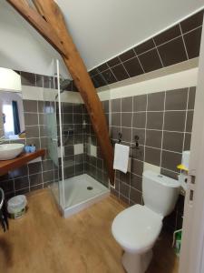 a bathroom with a toilet and a shower and a sink at Auberge des Colettes in Coutansouze