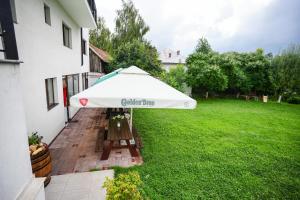 Zahrada ubytování PENSIUNEA OCTAVIAN