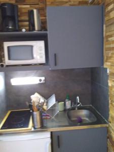 eine Küche mit einer Spüle und einer Mikrowelle in der Unterkunft Studio élégant à Chamonix in Chamonix-Mont-Blanc