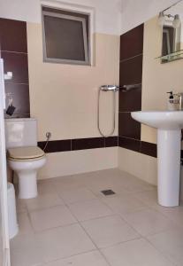 La salle de bains est pourvue de toilettes et d'un lavabo. dans l'établissement Alexander's, à Kritharia