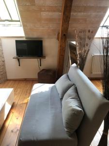 a living room with a couch and a tv at La Parenthèse - Studio atypique - Piscine - Proche Le Mans in Amné-en-Champagne
