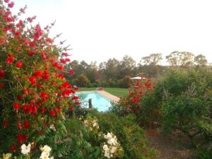 uma piscina num jardim com flores vermelhas e brancas em Casale Cacciata Grande Elisa em Pescia Romana