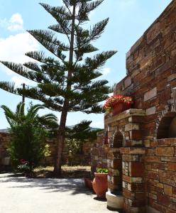 a pine tree sitting next to a brick wall at Tranquil Apartments in Naxos Chora