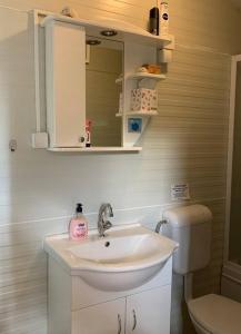a bathroom with a sink and a toilet at Tiny house & Glamping tent in Kotor