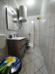 łazienka z umywalką i toaletą w obiekcie Apartman Mea w Rabacu