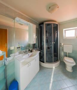 a bathroom with a shower and a sink and a toilet at Kuća za najam Villa Monika in Osijek