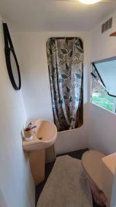 baño pequeño con lavabo y ventana en logement dans Mas mobile home en Saint-Laurent-dʼAigouze