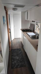 una pequeña cocina con fregadero y encimera en logement dans Mas mobile home en Saint-Laurent-dʼAigouze