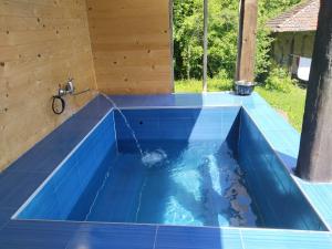 - une piscine dans une maison dotée de carrelage bleu dans l'établissement Balkan Mountains Villa Spa, à Elena