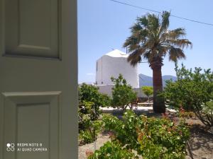 a house with a palm tree and a building at Chaido Studios in Plaka Milou