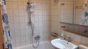 e bagno con doccia, lavandino e vasca. di Appartement-Harlachberg-Blick-2 a Bodenmais