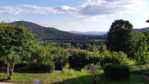 a view of a garden with trees and mountains at Appartement-Harlachberg-Blick-2 in Bodenmais