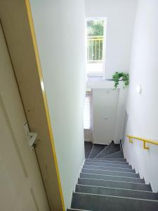 Fotografie z fotogalerie ubytování Жути Ранац - Žuti Ranac - Yellow Backpack v destinaci Boljevac