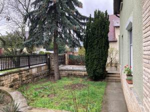 a yard with a tree and a fence at Cédrus apartman in Pécel