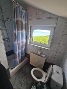 a small bathroom with a toilet and a window at Apartman Nika in Omišalj