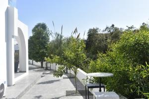 a patio with a table and chairs and trees at Zoi Ayia Napa in Ayia Napa