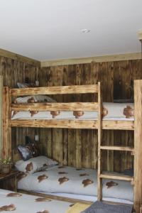two bunk beds in a room with wooden walls at The Moo-tel at Bargoed Farm in Aberaeron